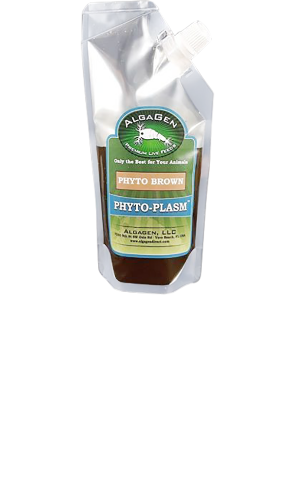 Phyto-Plasm™ Phyto Brown - Fresh N Marine