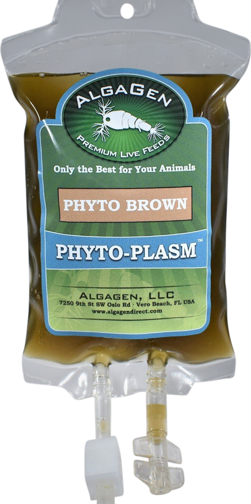 Phyto-Plasm™ Phyto Brown - Fresh N Marine