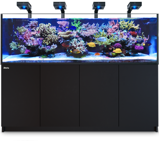 R900-without-skimmer-black-MOB