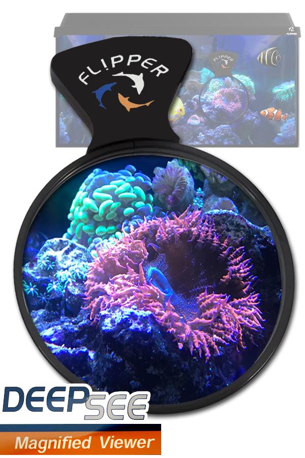 Flipper DeepSee Magnified Magnetic Aquarium Viewer 4" - Fresh N Marine