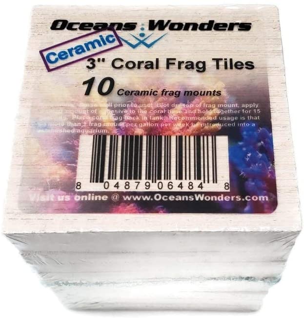 Ocean Wonders Square Coral Frag Tiles 3" by 3" - Fresh N Marine