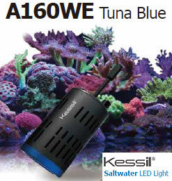 Kessil A160WE Controllable LED - Tuna Blue - Fresh N Marine