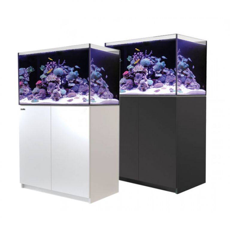 Ishikawa　Red Sea REEFER 250 G2 セット reefer250black-2-colors_1.jpg?