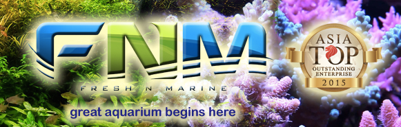 A short video on FNM retail store