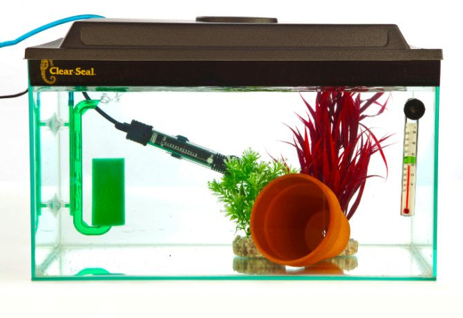 TIP from FNM: Quarantine Fish