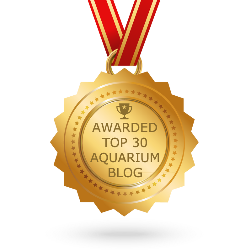 FNM was Awarded Top 30 Aquarium Blog