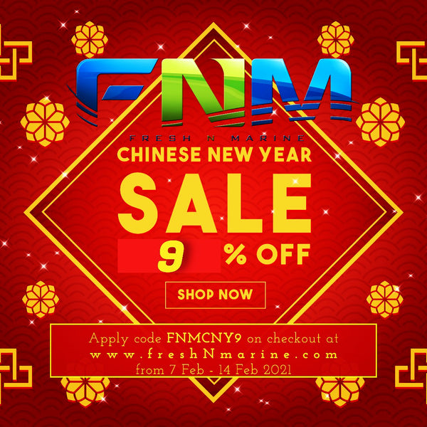 Chinese New Year Offer of 9% for Online Purchase!