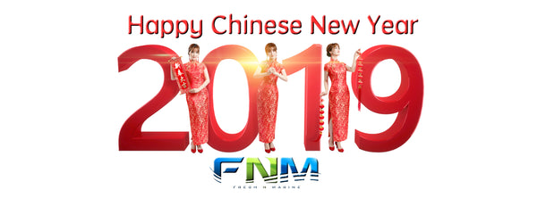 Happy Chinese New Year, Year of the Pig 2019