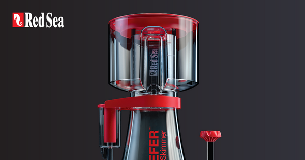 Red Sea Reefer Skimmer Launched!