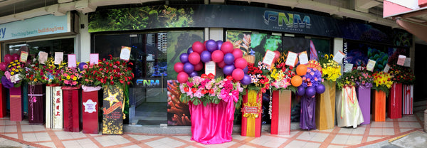 Fresh N Marine Official Grand Opening on 1 Jan 2018