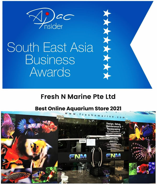 South East Asia Best Online Aquarium Store 2021 Awarded to Fresh N Marine by APAC Insider!