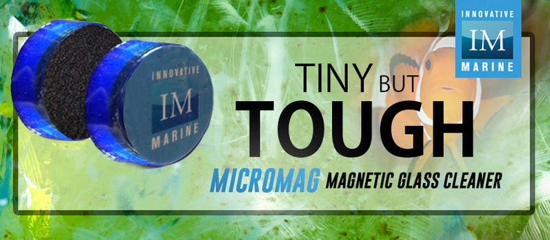Innovative Marine MicroMag - Tiny but Tough