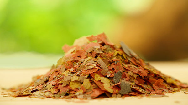 TIP from FNM: Fish Food Nutritional Composition