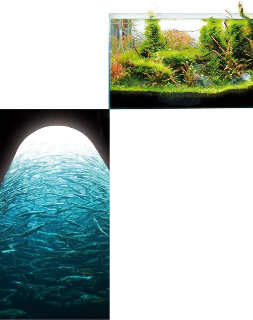 Introducing TUNZE Care Bacter