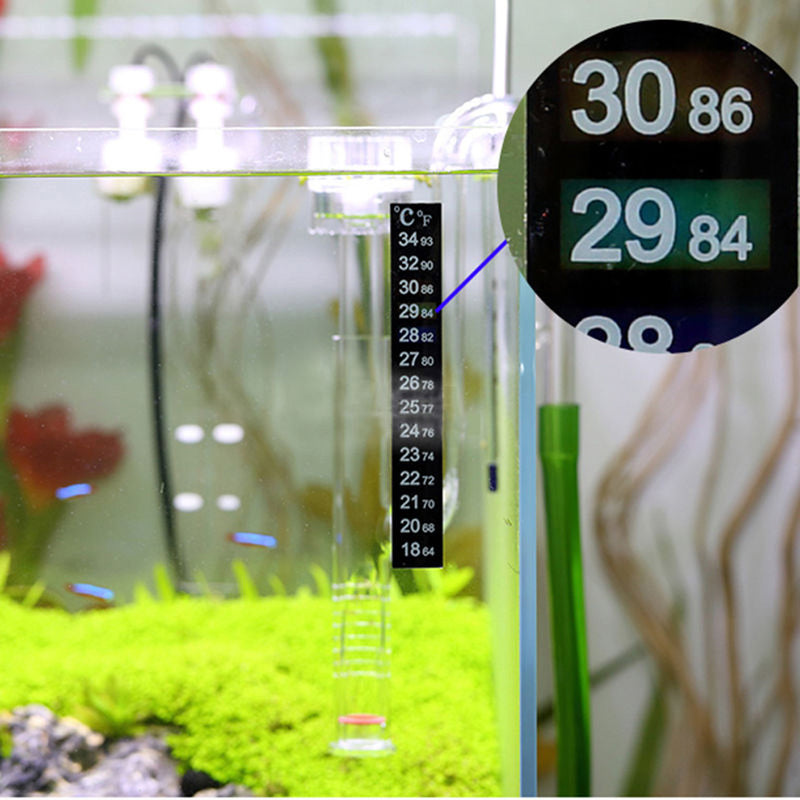 TIP from FNM: Routine Checking of Aquarium Equipments