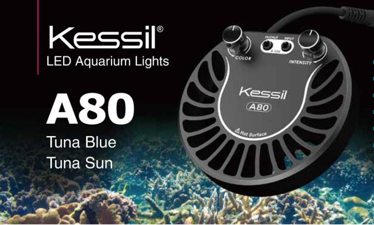KESSIL A80 has finally landed in Singapore!