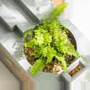 Small Fish Tank with Water Pump Fish Starter Kit Retro Decorative Silent Mini Fish Tank for Tabletop Display Decoration