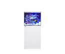 Red Sea Reefer 200 G3 Aquarium System