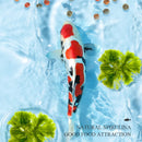 Granular Mixed Koi Fish Food Gold Fish Feed Bagged Pets Supplies