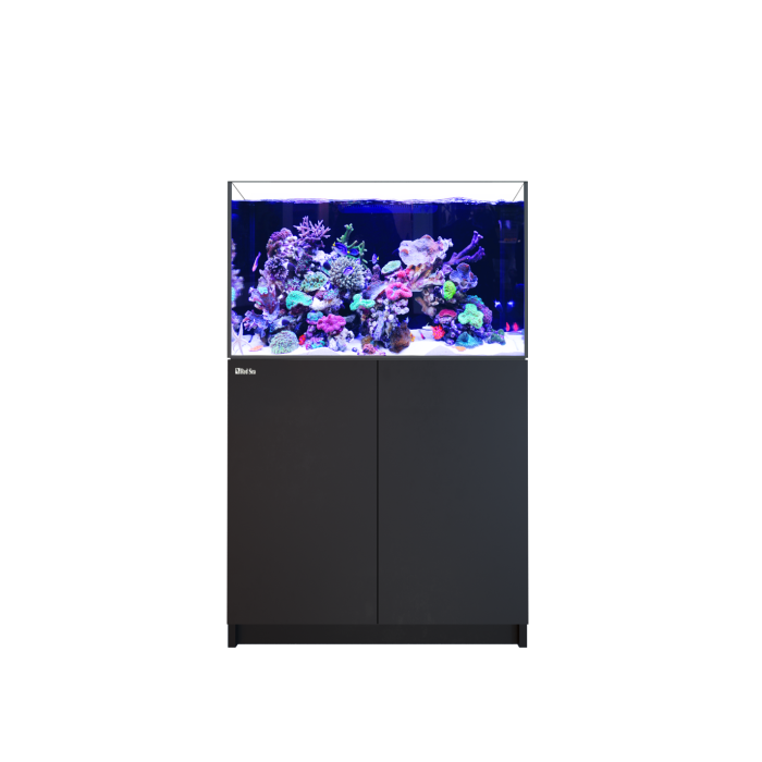 300_b_doors_no_label_1_700x.