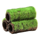 GEX Moss Hideout (Made of Clay) - Fresh N Marine