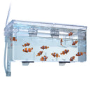 FLUVAL HANG ON MULTI-CHAMBER HOLDING & BREEDING BOX (1.9L) - Fresh N Marine