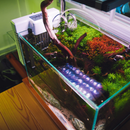 DYT Mini Chiller for up to 30L (No Installation needed) - Fresh N Marine