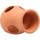 GEX Biscuit Firing Pot Vase - Fresh N Marine