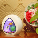 Weiting Aquarium Small Fish Tank Mini Desktop Aquarium Creative Gold Fish Tank LED Lighting Comes with Filter Household Fish Tan