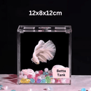 ANS Acrylic Betta Tank (Various size) - Fresh N Marine