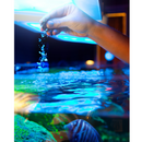 Aquaforest Marine Flakes 25g - Fresh N Marine