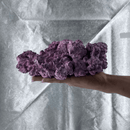 Aquaforest Rock - 10Kg (Arch/ Base/ Shelf/ Mix ) - Fresh N Marine