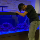 Maintenance Services (Packages)