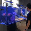 Maintenance Services (Packages)