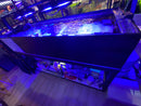 6 Feet Frag Tank + Sump + Piping - Fresh N Marine