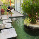 Maintenance Services (Packages)