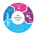 NT LABS Aquarium Water Mini Test (3in1 test kit) - Fresh N Marine