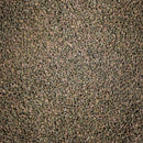 NT LABS Pro-f Probiotic Tropical 45g / 120g (better digestion) - Fresh N Marine