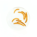 Nature Grains! Mealworm (550/2600ml) - Fresh N Marine