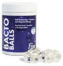 Fauna Marin Bacto Reef Balls - Fresh N Marine