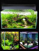 Frok T1 LED RGB Light (Controllable With Remote Control) - Fresh N Marine