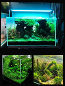 FROK T1-M LED RGB (Slim) (Controllable With Remote Control ) - Fresh N Marine