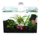 ANUBIAS HE SERIES DESKTOP AQUARIUM KIT ( SSF-500) - Fresh N Marine