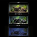 Aquael Opti Set 240L Aquarium and Cabinet - Fresh N Marine