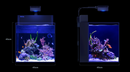 Red Sea Max Nano G2 Cube 75L (with Black/White Cabinet options) - Fresh N Marine