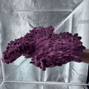 Aquaforest Rock - 10Kg (Arch/ Base/ Shelf/ Mix ) - Fresh N Marine