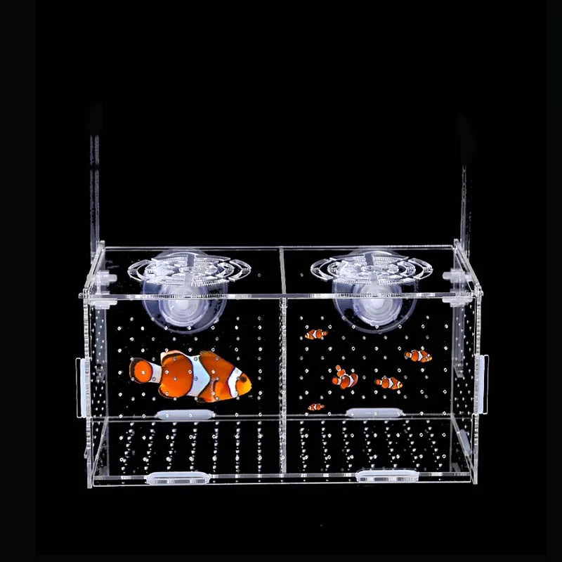 Acrylic Aquarium Box Small Fish Isolation Net Tropical Fish Breeding Box Production Box Fish Tank Aquarium Accessoories