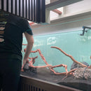 Maintenance Services (Packages)