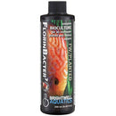 Brightwell Aquatics FlorinBacter7 250ml - Fresh N Marine