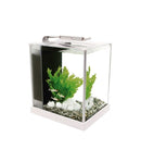 FLUVAL SPEC III 10L GLASS AQUARIUM - Fresh N Marine